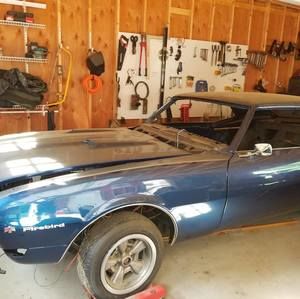 Meet your Posher, Dennis